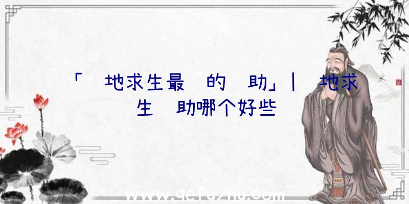 「绝地求生最贵的辅助」|绝地求生辅助哪个好些